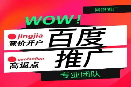 百度推广服务费案例：如何利用预算最大化效果